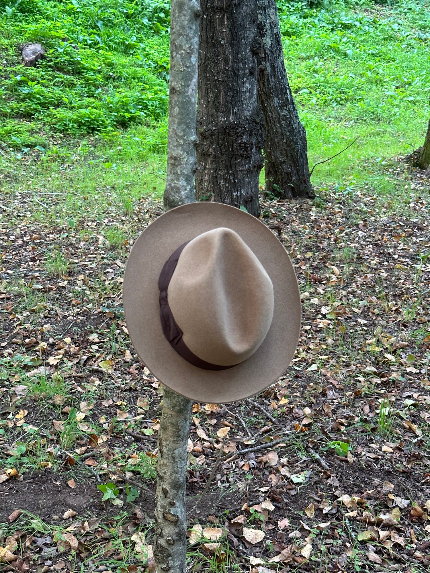 Autumn Collection
